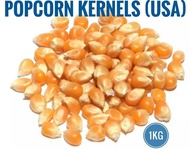 USA Premium Popcorn Seed Mushroom Kernels 爆米花仁 Biji Popcorn 1KG