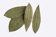 Daun Salam Kering - Bay Leaves Dried (100% Pure)