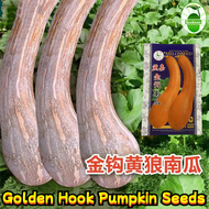 High Yield Golden Hook Pumpkin Seeds 45เมล็ด/ซอง เมล็ดพันธุ์ ฟักทองญี่ปุ่น เมล็ดฟักทอง Sweet Pumpkin