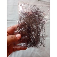 Cenuai Bnian hutan asli