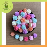 TF-002 -10 biji 10 pieces Resin Bunga (flatback) - 1.4 cm x 1.4  cm