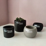 Cactus Pot, Flower Pot