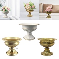 [Dolity2] Flower Pot, Delicate Planter, Flower Holder, Plant Container, Flower Pot, Decorative Vase for Wedding, Dried Flowers, Decorative