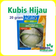 Benih Kubis Hijau Brilliant 37 20 Gram Tunas Agro Hibrida F1 tahan akar gada dataran rendah menenga