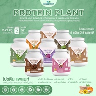 WISAMIN Plant Protein Formula 2 | 2.27 kg (5LB) | 8 Flavors | Organic | Halal | Soy-Free | Non-GMO