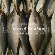 IKAN SALMON LOKAL SEGAR 1kg