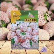 Biji STRAWBERRY PUTIH IMPORT KEMASAN ORIGINAL -+150 BUTIR BENIH STRAWBERRY PUTIH IMPORT