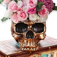 Perfeclan Skull Flowerpot Resin Succulent Planter Pot Container for Kitchen Desk
