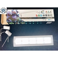 XML WHITE Led Light for 50cm Aquarium