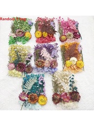 3包各種顏色的乾燥和保存的花卉，花材組合包用於插花和芳香療法袋，DIY剪貼簿和手工藝材料包，適用於家用