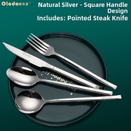 Olodo | Luxurious Cutlery Set for Home Steak Knife Fork Spoon Plate European Style with Storage Box