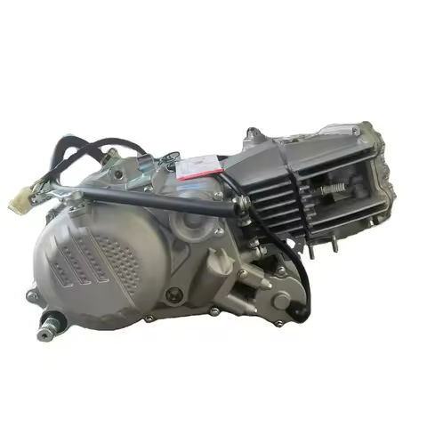 Zs190 Motorcycle Engine Assembly Complete Motorcycle Engine 2 Valve 4 Stroke Zongshen 190cc Engine Z