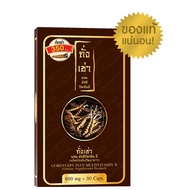 Cordyceps Plus Multi Vitamin B 30 Capsules