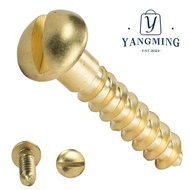 YANGYANG Wood Screws Chipboard Tapping Fasteners Slotted Drive Solid Brass
