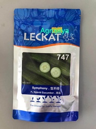 Benih timun hijau leckat symphony f1 hybrid 747 cucumber seeds 100gm 青瓜米