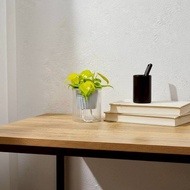 黃金心葉蔓綠絨 免澆水盆栽 室內植物 觀葉植物 禮物 盆栽 辦公室