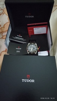Tudor 79733N-LSFS 鋼金黑面（98%新/高時單/大滿貫連未用布帶）