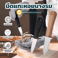 A HAUS oyster Peeler knife Shell