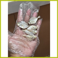 ✾ ◭ ⇦ Small Sapsap dried fish from Bicol 100 grams