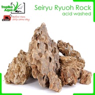 Dragon Stone Rock Ohko Alveolate aquarium fish tank aquascaping aquascape deco  (松皮石 虎皮石)