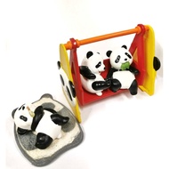 set Of 3 Bears​ Cute​ Model