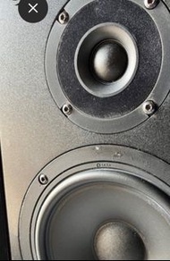 英國名廠喇叭 （ 一對，一隻冇聲 ）Ditton Carina DC5