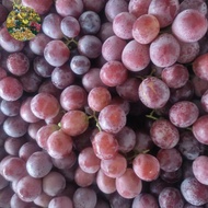 buah anggur merah 1 kg fresh buah anggur