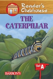 The Caterpillar Judy Kentor Schmauss