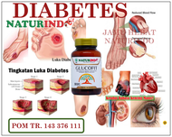 Obat Herbal Diabetes Diabetes melitus Diabetes Basah Diabetes Kering Gula Darah Tinggi Diabetes Tipe