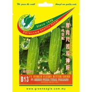 B13 F1 Hibrid Peria Tebal Panjang