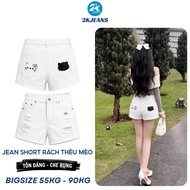 [VC 12% NEW Product] Bigsize Women's Jean Shorts QC1325 Ripped Cat Embroidery High Waist White 2KJEA