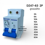 DZ47-63 2P Circuit Breaker