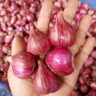 Bawang merah/bawang merah Brebes super