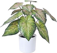 HAIHONG 15.7 Inch Fake Plants Artificial Caladium Plants Indoor, Samll Artificial Plants with Green Leaves, Potted Faux Plants for Desk Shelf Office Room Decoration（1Pack）