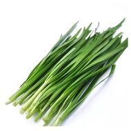 Benih Kucai / Kuchai / Chives