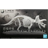 Dinosaur Limex Skeleton Triceratops