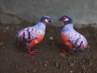 patung Burung puyuh gonggong/decoy burung puyuh/pikat burung puyuh/pikat burung