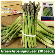 100% Original Sweet Green Asparagus Seeds (10 Seed) High Yield Organic F1 Vegetable Seeds for Planti
