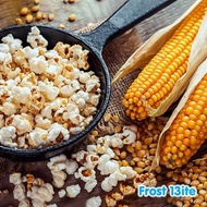 PPC Jagung Pipil Kering Popcorn / Popping / Pop Corn / Berondong 500g