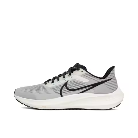 Nike 2025 Men's Nike AIR ZOOM PEGASUS 39 Running Shoes DH4071-004