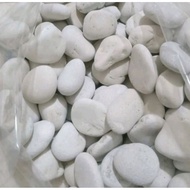 PEROMO UK 3 KG WHITE CORAL STONE FLOATING STONE/ DECORATIVE STONE