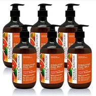 Natural Solution Natural Liquid Soap, Formulated with Organic Blood Orange &amp; Himalayan Pink Salt, Nourishing and Moisturizing Hand Wash, 14 oz Each (6 Pack)