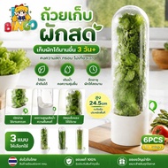 Fresh Vegetable Storage Cup Asparagus Container Vanilla Coriander Fresh-Keeping Box Equipment