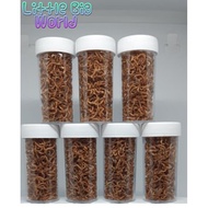 Dried Bloodworm for Small Fish Betta, Guppy, Molly, Platy, Barbs etc (Makanan Cacing Kering utk Ikan