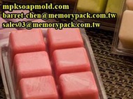 Memorypack 6格香氛溶蠟模具 手工藝DIY香薰蠟塊 蠟燭DIY