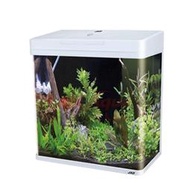 ［水族最便宜］魚缸 套缸 JAD 420 魚缸 上部過濾 可調光LED套缸