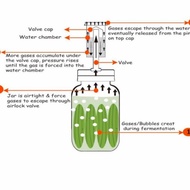 JJ935 BALL MASON JAR - Fermentation Lids Wide Mouth Fermentation plastic lid