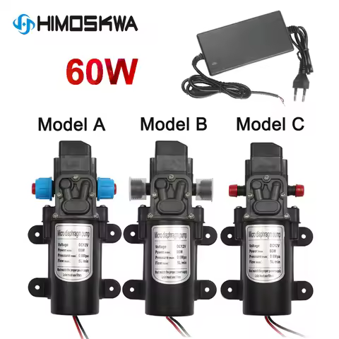 60W Micro Electric Diaphragm Water Pump DC 12V Automatic Switch 5L/min High Pressure Car Washing Spr