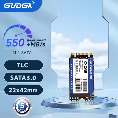 GUDGA M2 SATA 2242 SSD SATA3 128GB 256GB 512GB NGFF Internal Solid State Hard Drives TLC for Laptop 