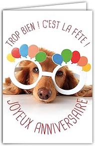 AFIE Humorous Happy Birthday Card with Illustrated Envelope 17.5 x 12 cm Funny Dog Camouflage with G